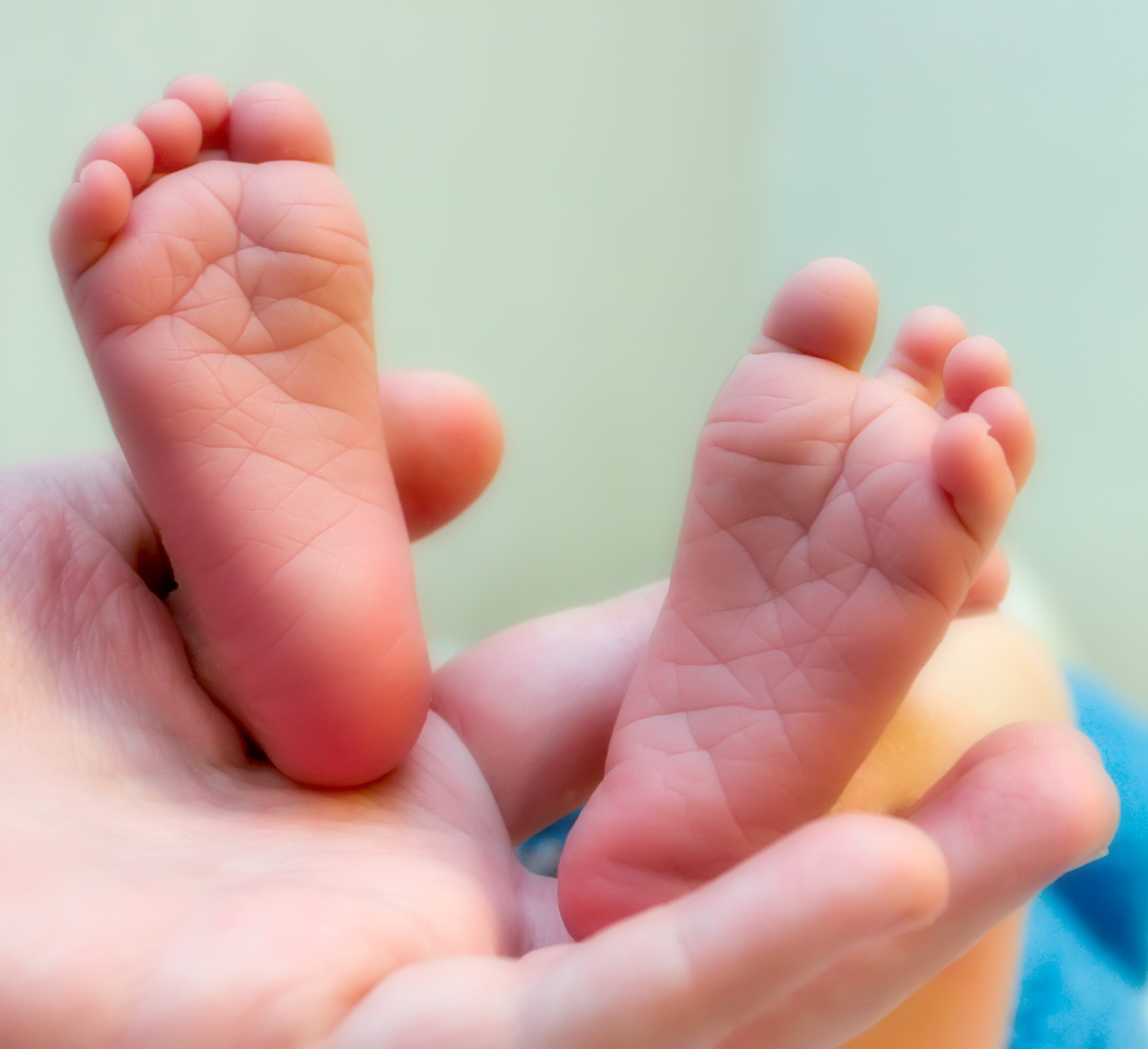 Baby Feet - shutterstock_12557218