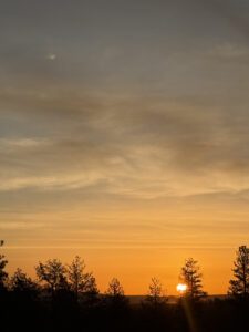 Bing Wu Yang Fire Horse New Year Astrology 2026